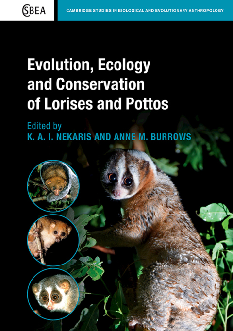 Cover image for book Evolution, Ecology and Conservation of Lorises and Pottos