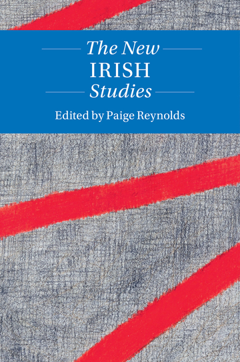 Cover image for book The New Irish Studies