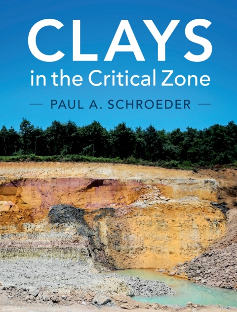 Cover image for book Clays in the Critical Zone