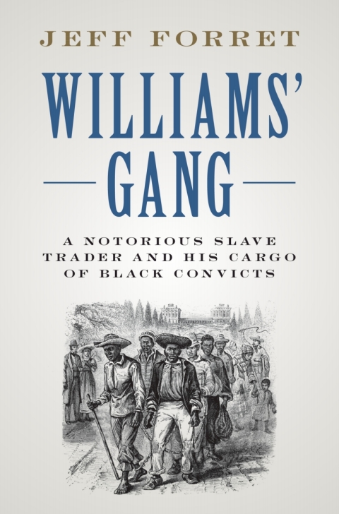 Cover image for book Williams' Gang