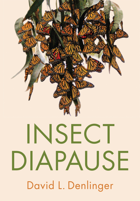 Cover image for book Insect Diapause