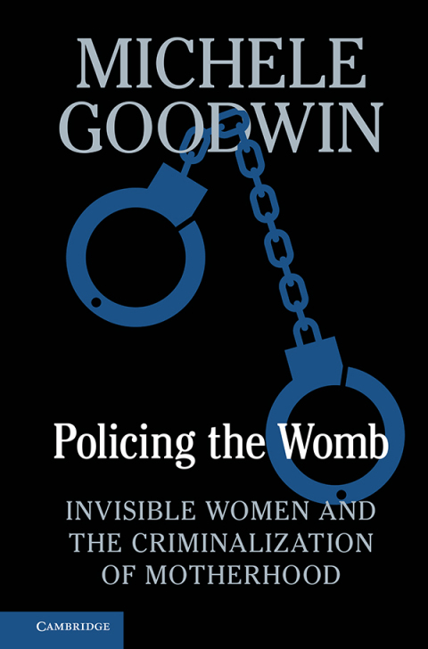 Cover image for book Policing the Womb