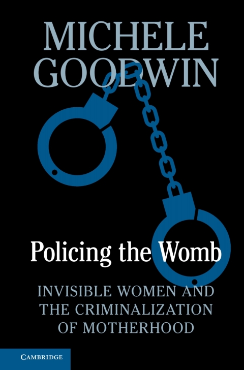 Cover image for book Policing the Womb
