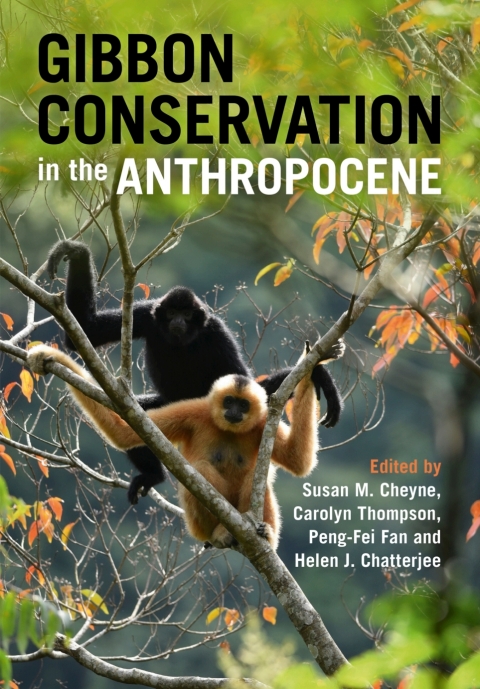 Gibbon Conservation in the Anthropocene 