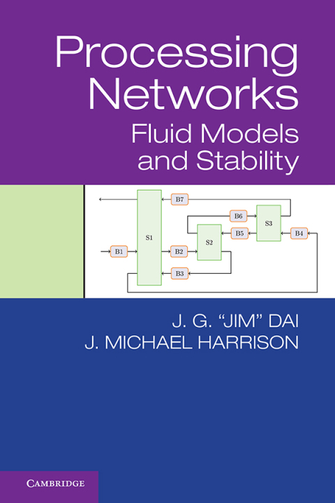 Cover image for book Processing Networks