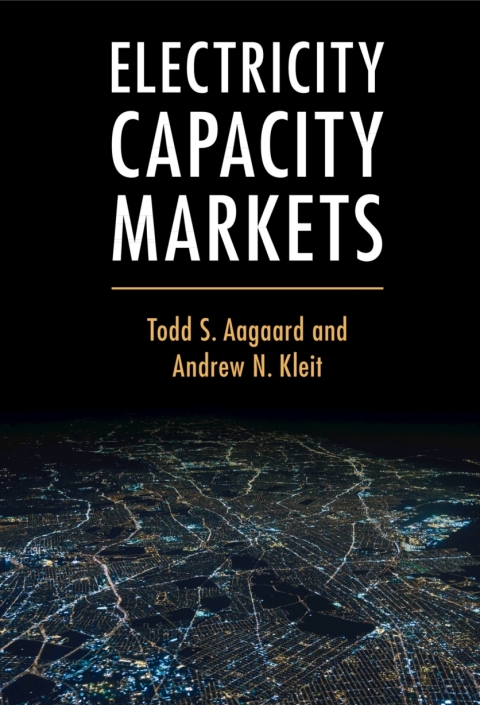 Electricity Capacity Markets 