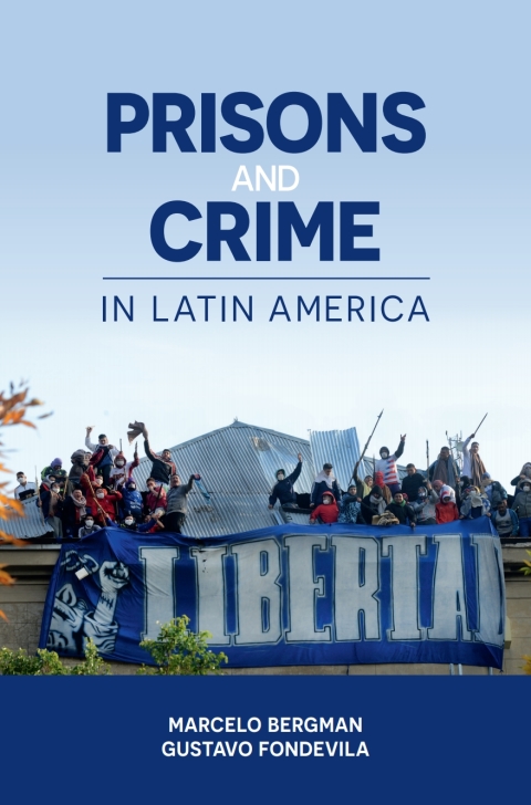 Cover image for book Prisons and Crime in Latin America