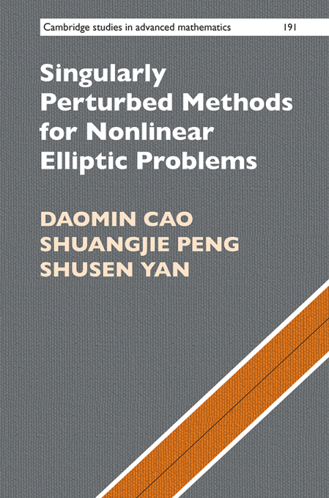 Singularly Perturbed Methods for Nonlinear Elliptic Problems 