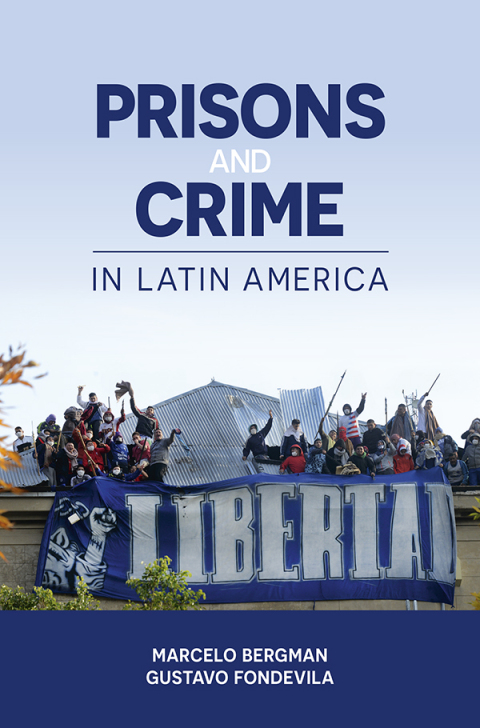Cover image for book Prisons and Crime in Latin America