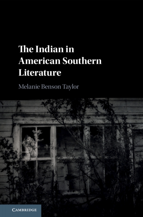 Cover image for book The Indian in American Southern Literature