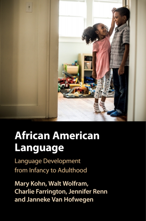 Cover image for book African American Language