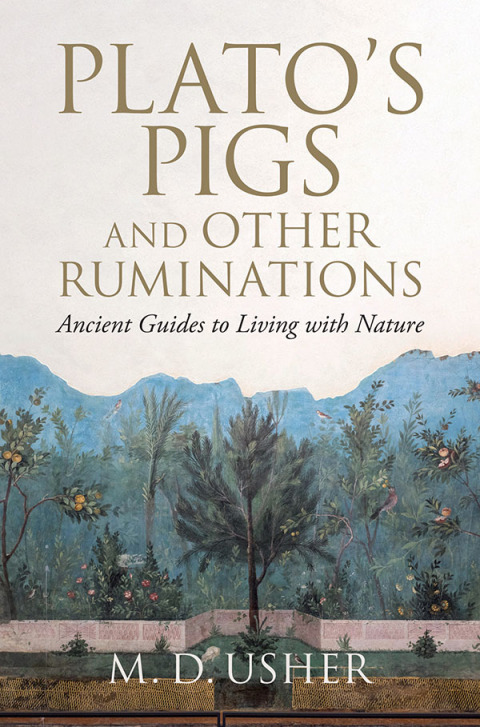 Cover image for book Plato's Pigs and Other Ruminations