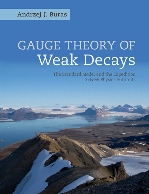 Cover image for book Gauge Theory of Weak Decays