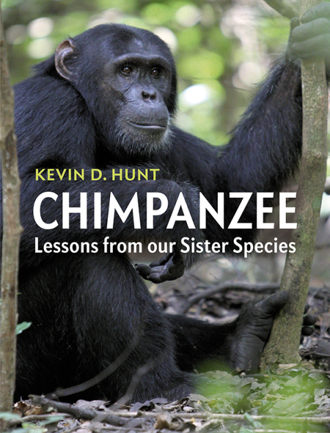 Cover image for book Chimpanzee