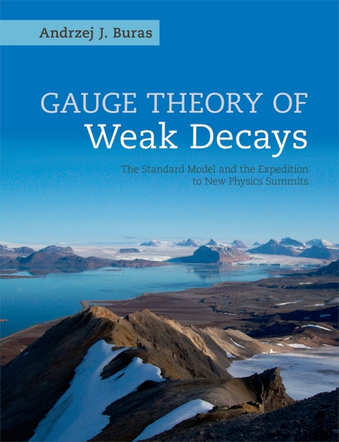 Cover image for book Gauge Theory of Weak Decays