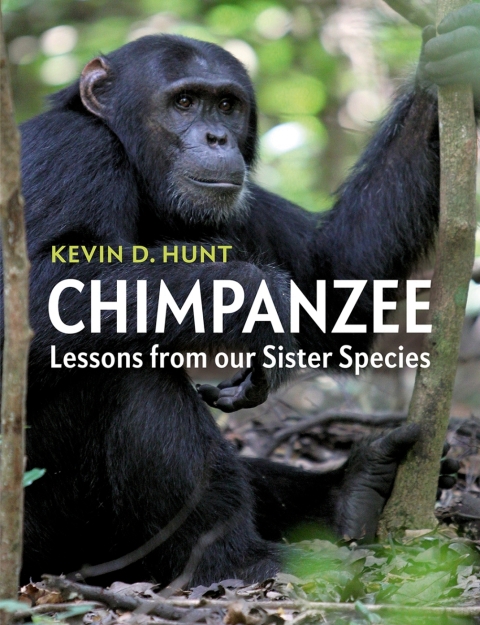 Cover image for book Chimpanzee
