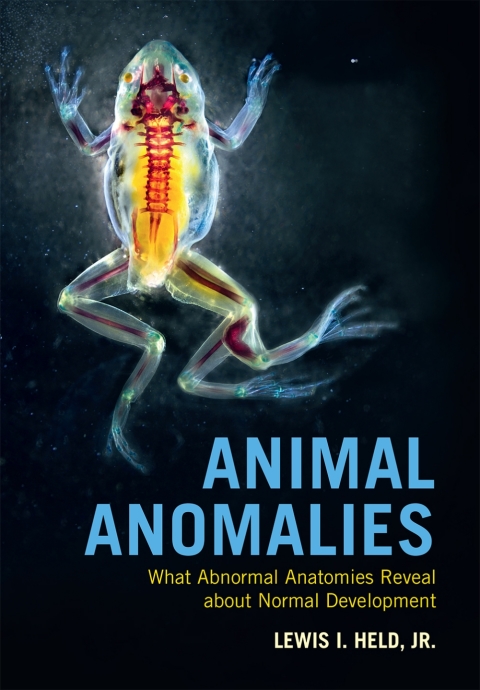 Cover image for book Animal Anomalies