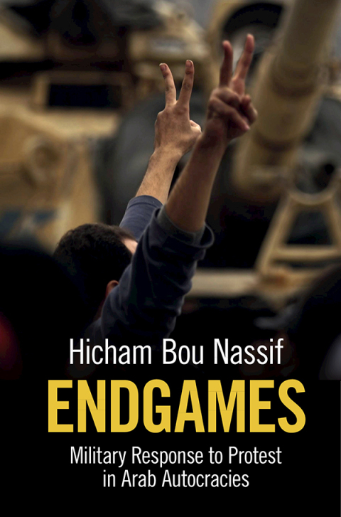 Cover image for book Endgames