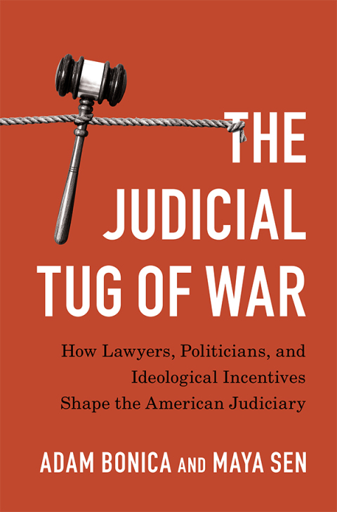Cover image for book The Judicial Tug of War