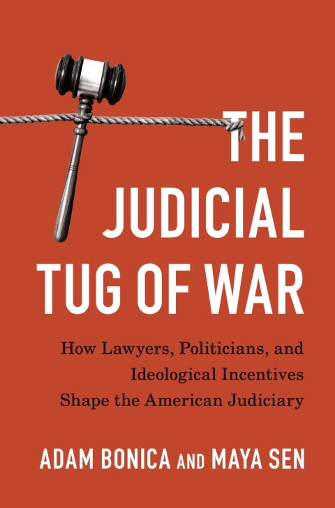 Cover image for book The Judicial Tug of War