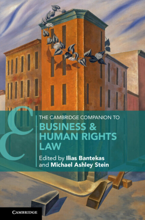 Cover image for book The Cambridge Companion to Business and Human Rights Law