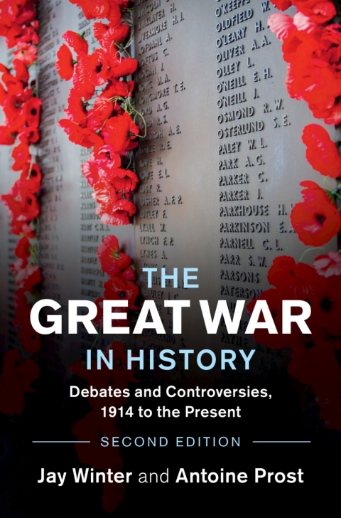 Cover image for book The Great War in History