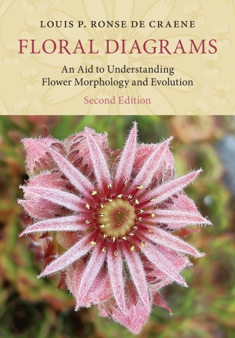 Cover image for book Floral Diagrams