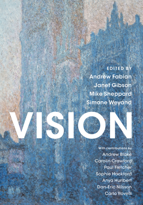 Cover image for book Vision