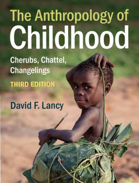 Cover image for book The Anthropology of Childhood
