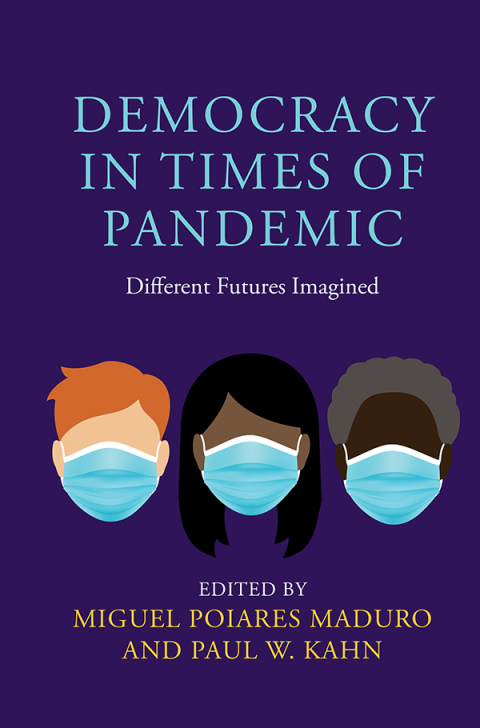 Cover image for book Democracy in Times of Pandemic