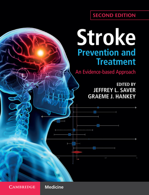 Cover image for book Stroke Prevention and Treatment