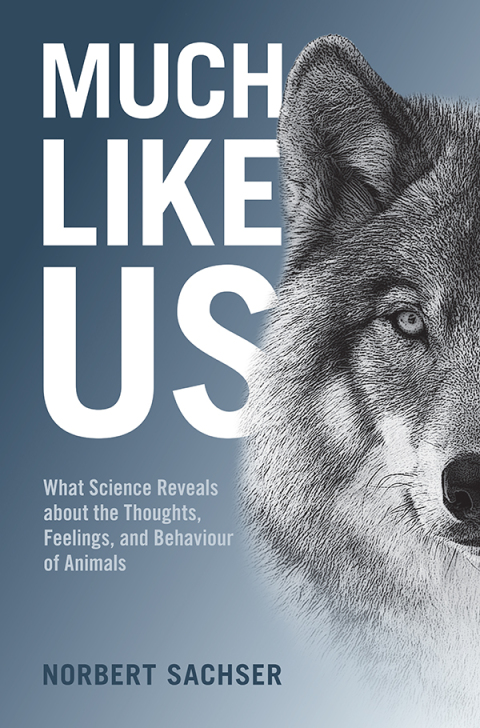 Cover image for book Much Like Us