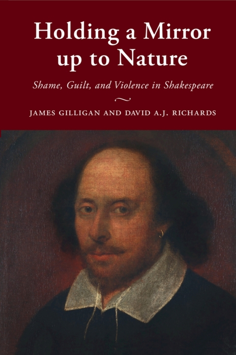 Cover image for book Holding a Mirror up to Nature