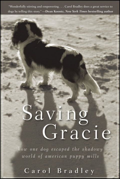 Cover image for book Saving Gracie