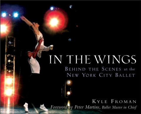 Cover image for book In the Wings