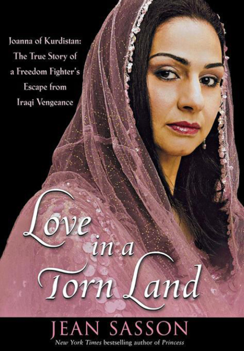 Cover image for book Love in a Torn Land