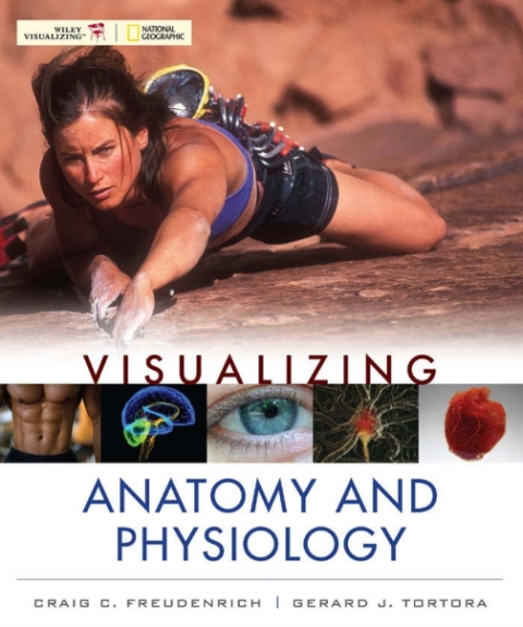 Visualizing Anatomy and Physiology 