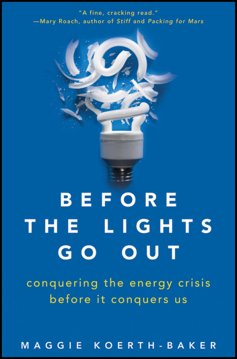 Cover image for book Before the Lights Go Out