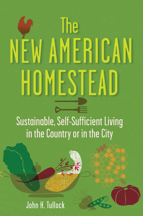 Cover image for book The New American Homestead