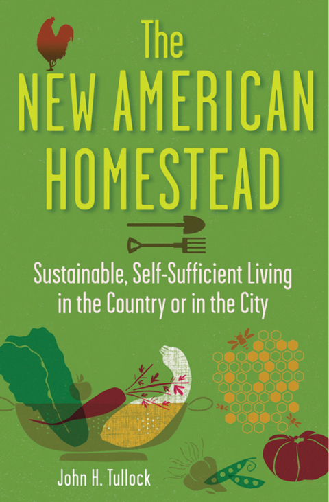 Cover image for book The New American Homestead