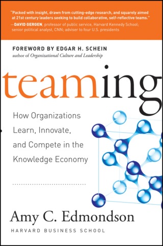 Teaming: How Organizations Learn, Innovate, and Compete in the Knowledge Economy