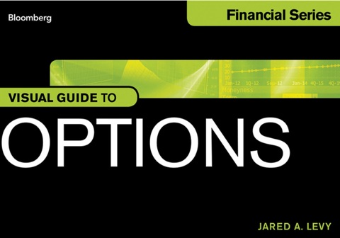 Cover image for book Visual Guide to Options