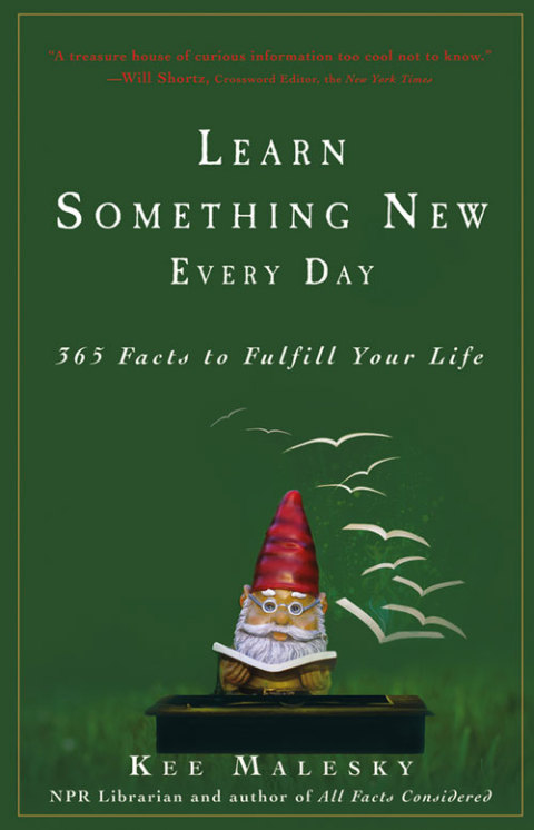 Cover image for book Learn Something New Every Day