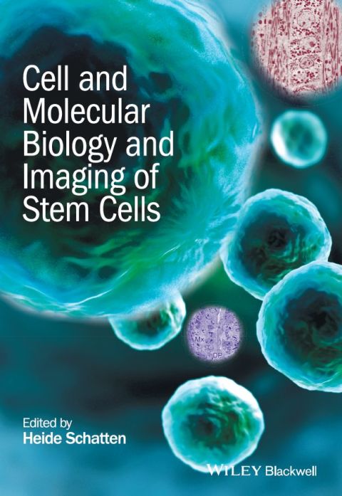 Cover image for book Cell and Molecular Biology and Imaging of Stem Cells