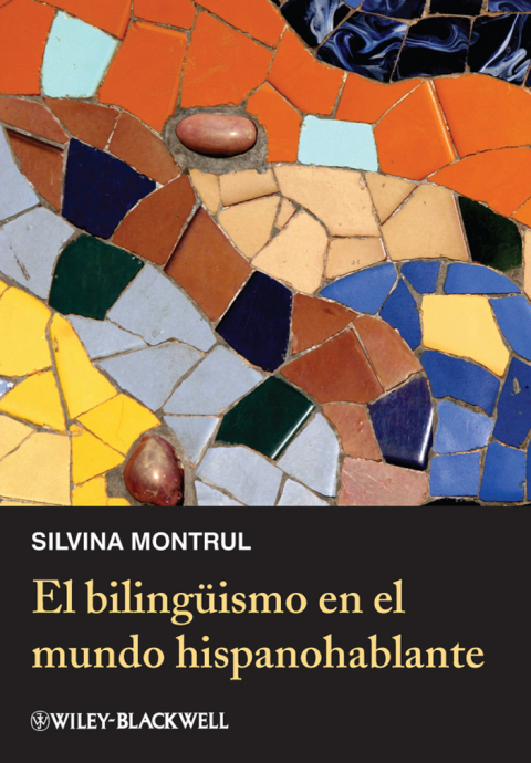 Cover image for book El bilingüismo en el mundo hispanohablante