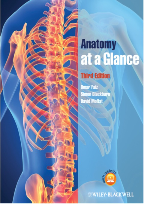 Cover image for book Anatomy at a Glance