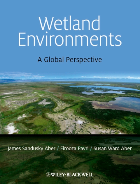 Cover image for book Wetland Environments