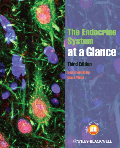 Cover image for book The Endocrine System at a Glance