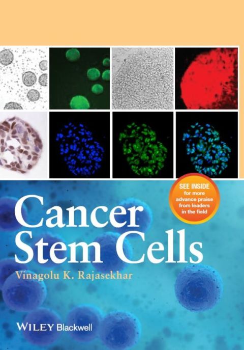 Cover image for book Cancer Stem Cells