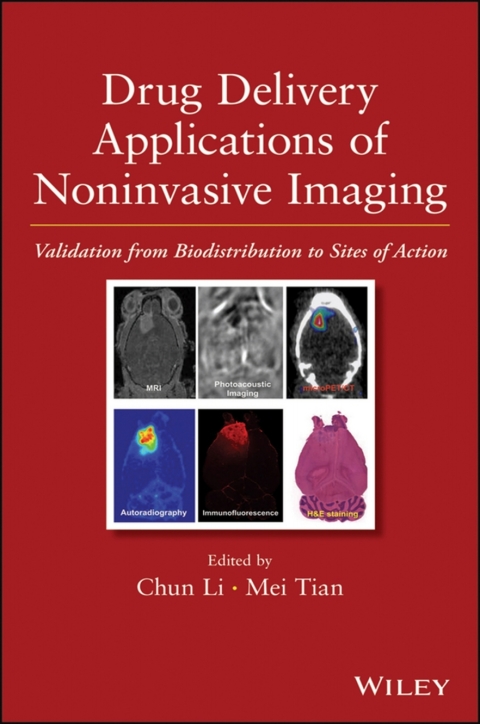 Drug Delivery Applications of Noninvasive Imaging 